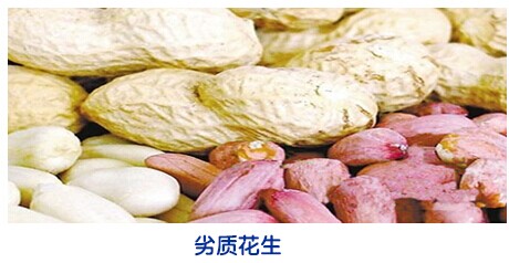 金質榨油機:再度論劍